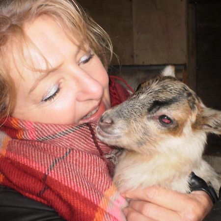 Boerderijkamer Korenbloem Onstwedde Kültér fotó