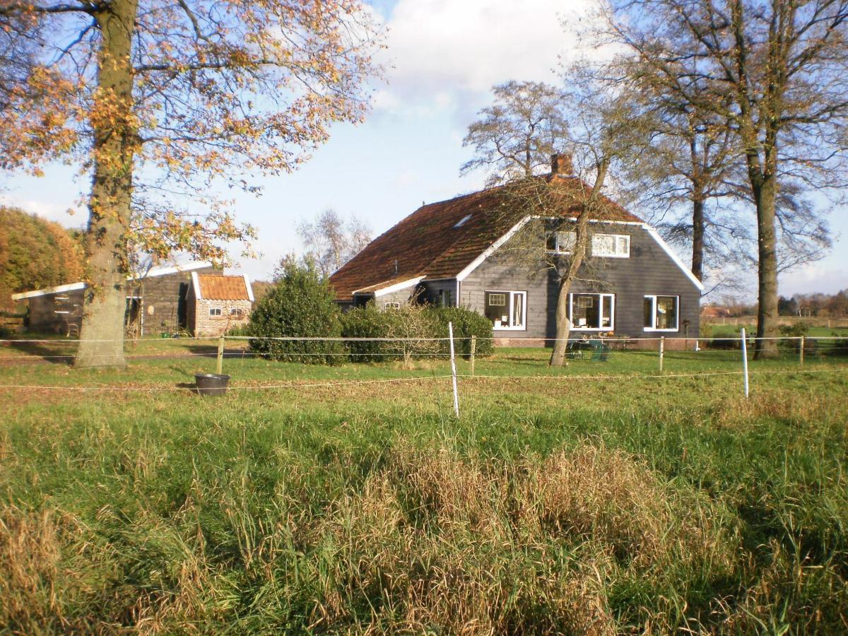 Boerderijkamer Korenbloem Onstwedde Kültér fotó